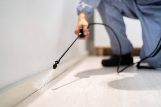 Licensed Pest Control service in Franklin Farm, VA - Show Me Pest Control