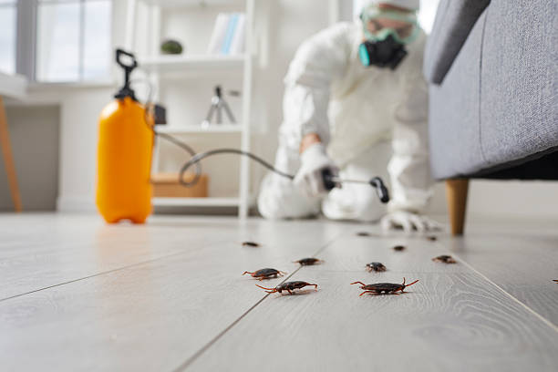Post-Treatment Bed Bug Interceptor Monitoring in Franklin Farm